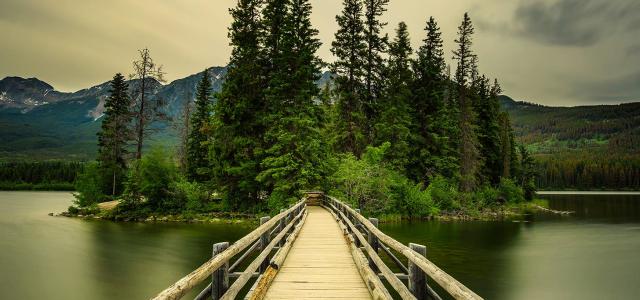 path surrounded by mountain and water